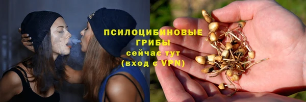 герыч Медногорск