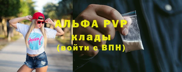 spice Медвежьегорск