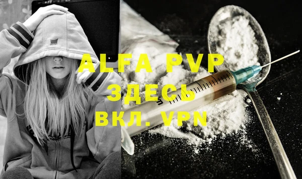 spice Медвежьегорск