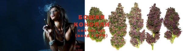 spice Медвежьегорск