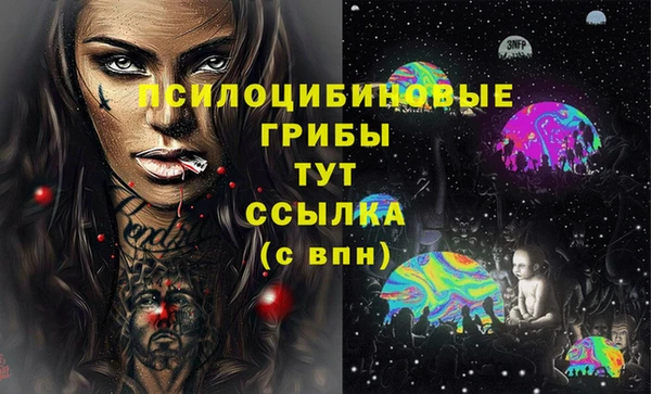 герыч Медногорск