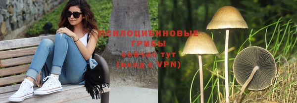 a pvp Мегион