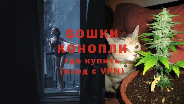 a pvp Мегион