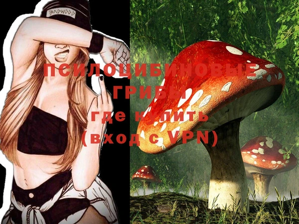 a pvp Мегион