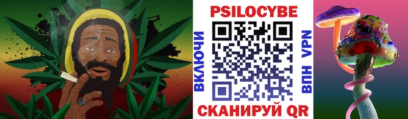 Галлюциногенные грибы Cubensis  что такое   Смоленск 